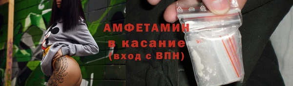 индика Гусев