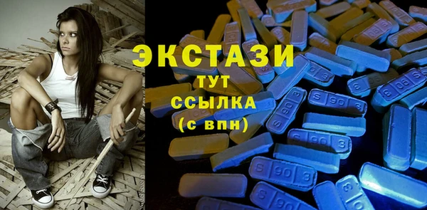 индика Гусев