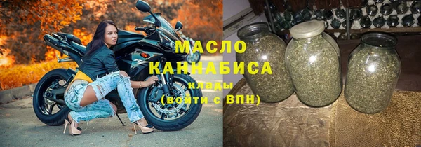 индика Гусев