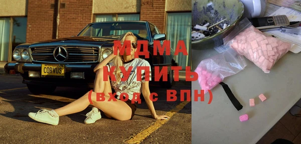 индика Гусев